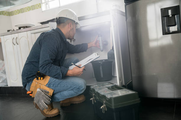 Best Water Leak Repair  in Lena, IL
