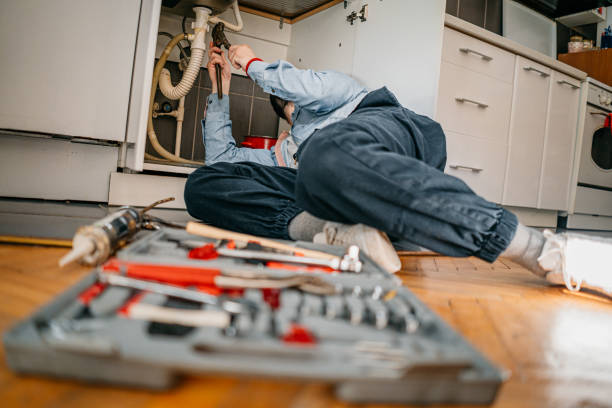 Best Sewer Line Repair  in Lena, IL