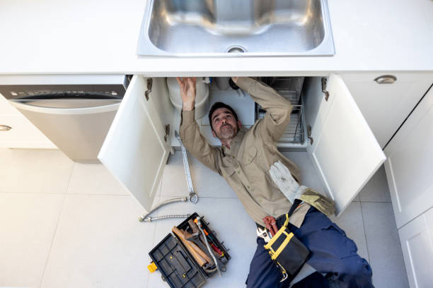 Best Residential Plumbing Services  in Lena, IL