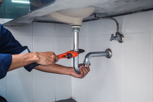 Best Local Plumber Services  in Lena, IL