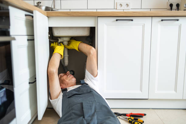 Best Water Leak Repair  in Lena, IL