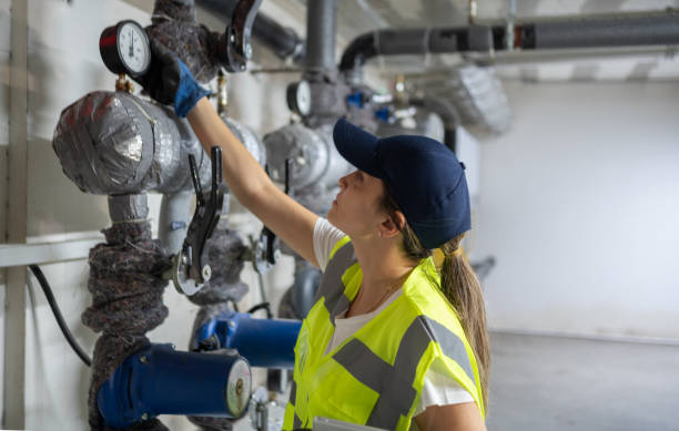 Best 24-Hour Plumber Near Me  in Lena, IL