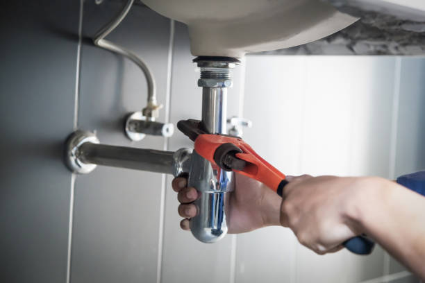 Best Commercial Plumbing Services  in Lena, IL