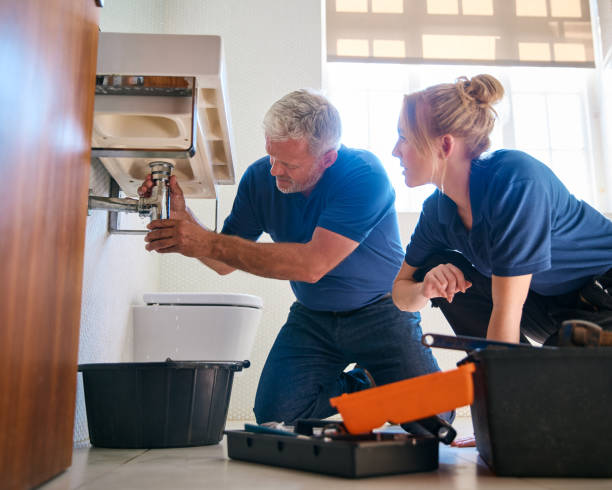 Best Plumbing Inspection Services  in Lena, IL